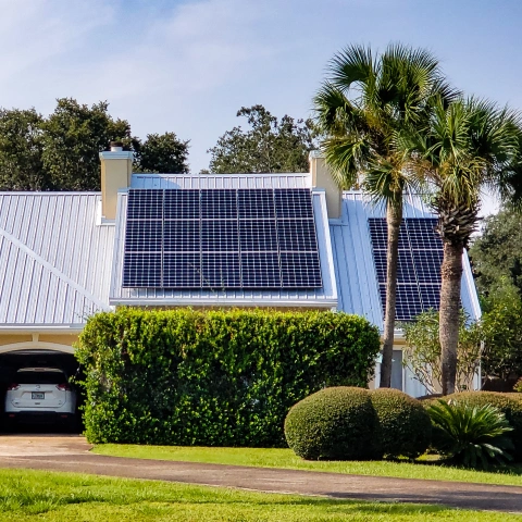 Utility-Scale Solar Power branson