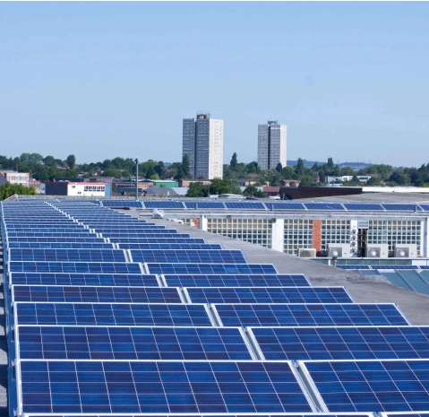 Solar panel array on a sunny day