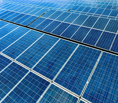 Rows of high-efficiency solar panels generating clean renewable energy for reliable electricity production